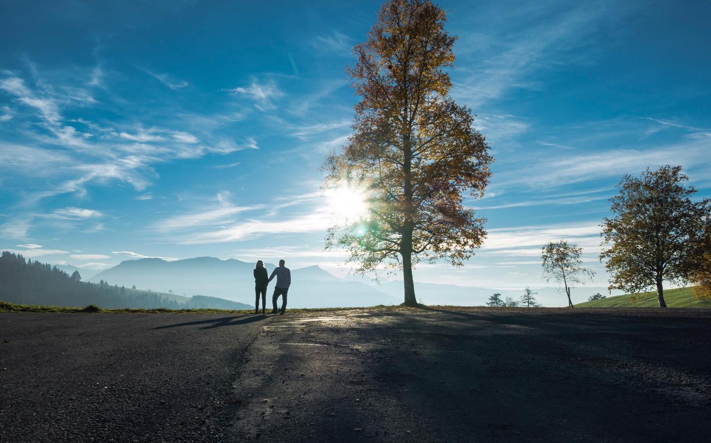 People under tree